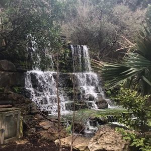 Meet your Posher, Palmer